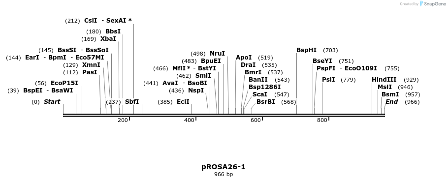 86492_map