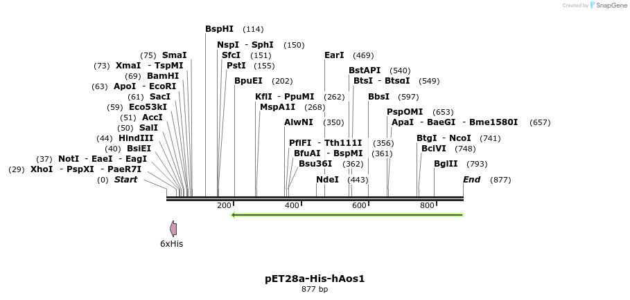 86495_map