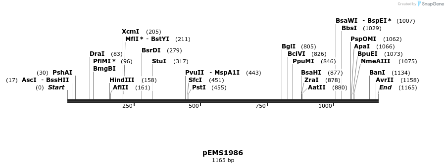 86521_map
