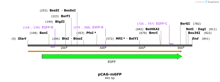 86522_map