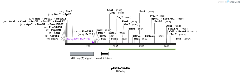 86523_map