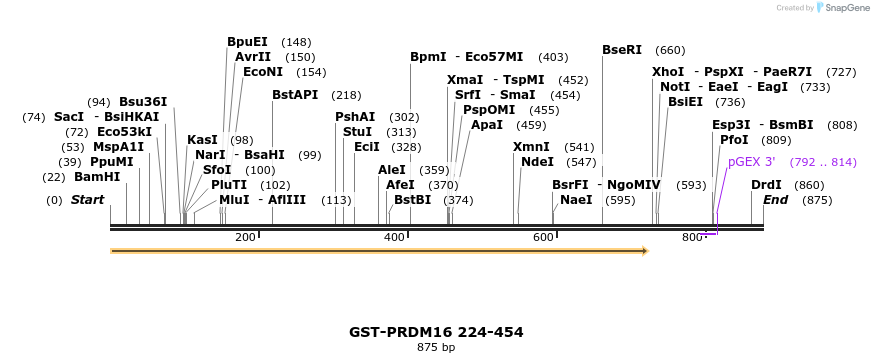 86535_map
