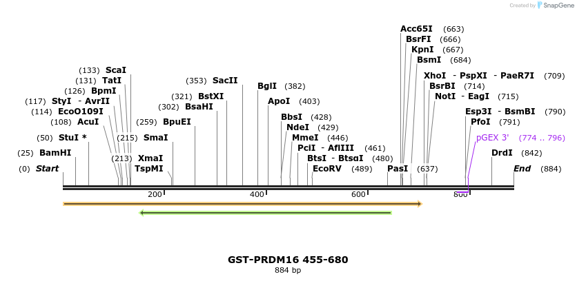 86536_map
