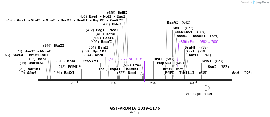 86541_map