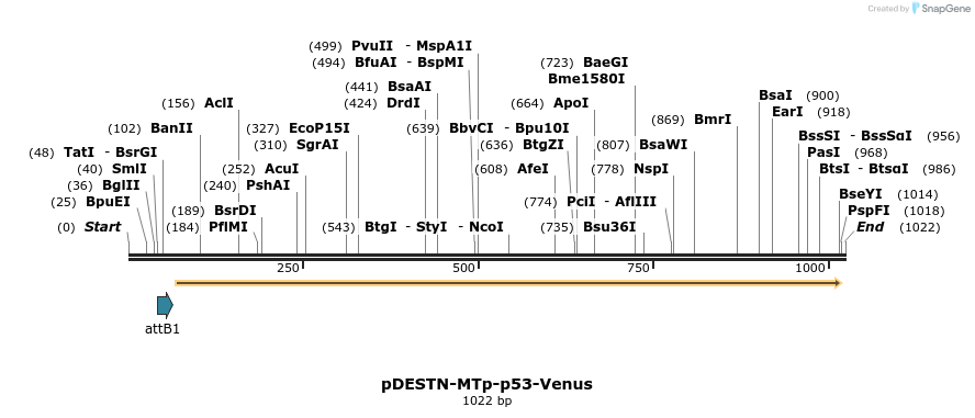 86547_map