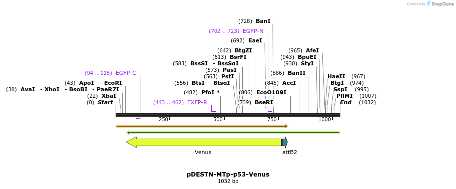 86551_map