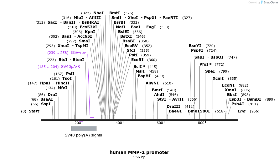 86554_map