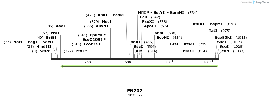 86555_map