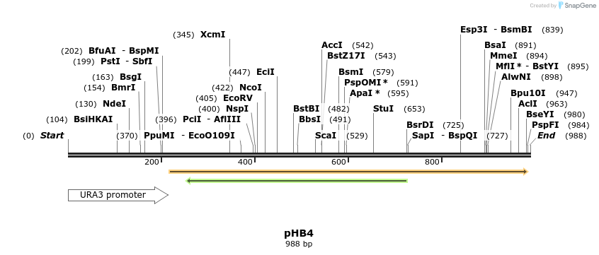 86557_map