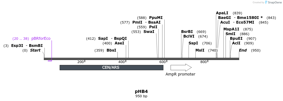 86558_map