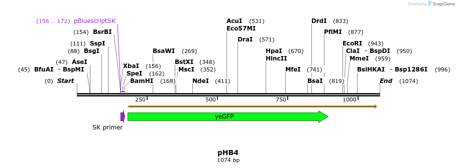86561_map