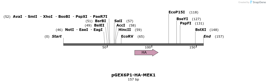 86562_map