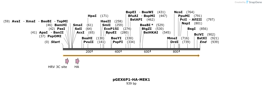 86563_map
