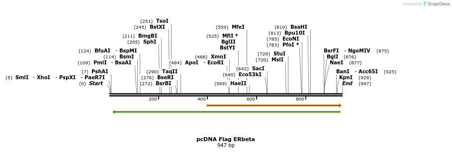 86567_map