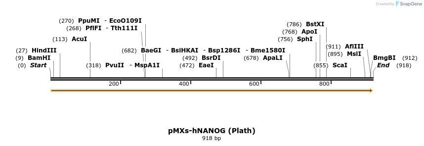 8657_map