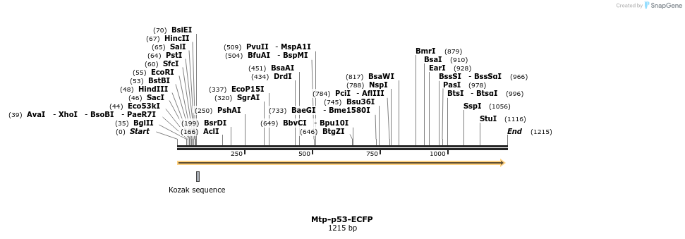 86570_map