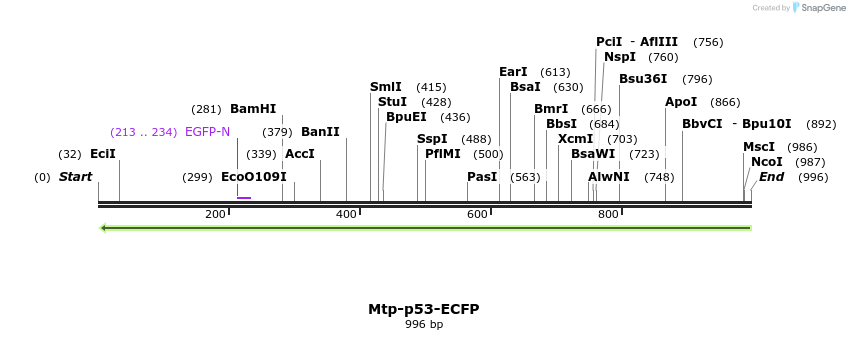 86571_map
