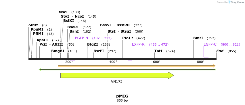 86575_map