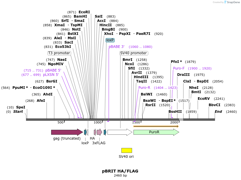 8658_map