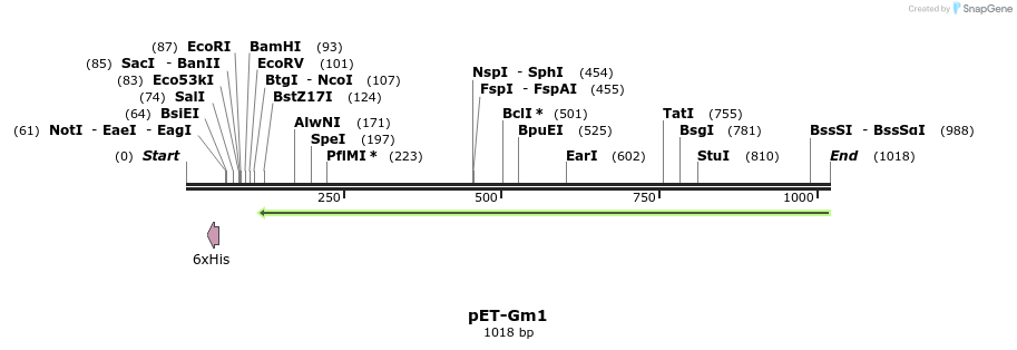 86581_map