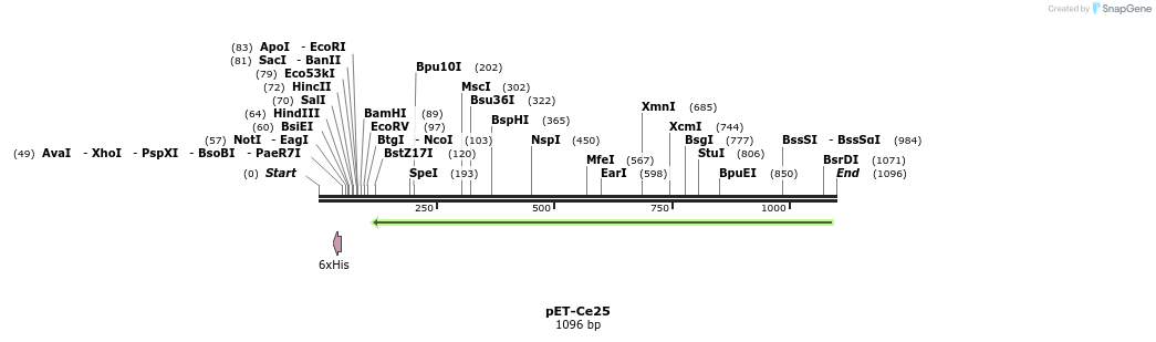 86585_map