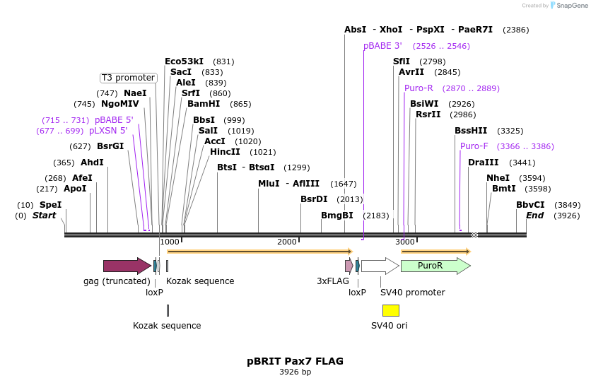 8659_map