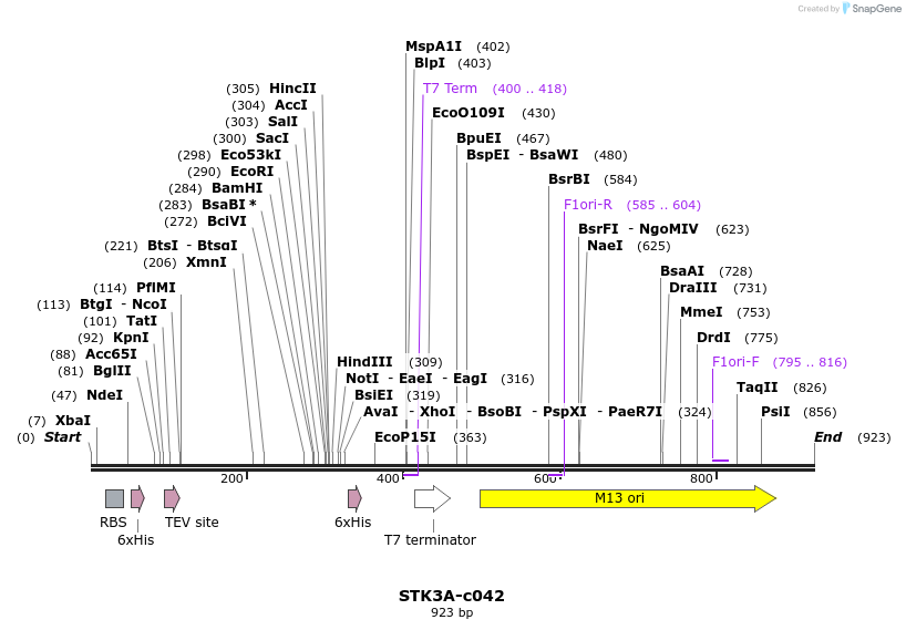 86590_map