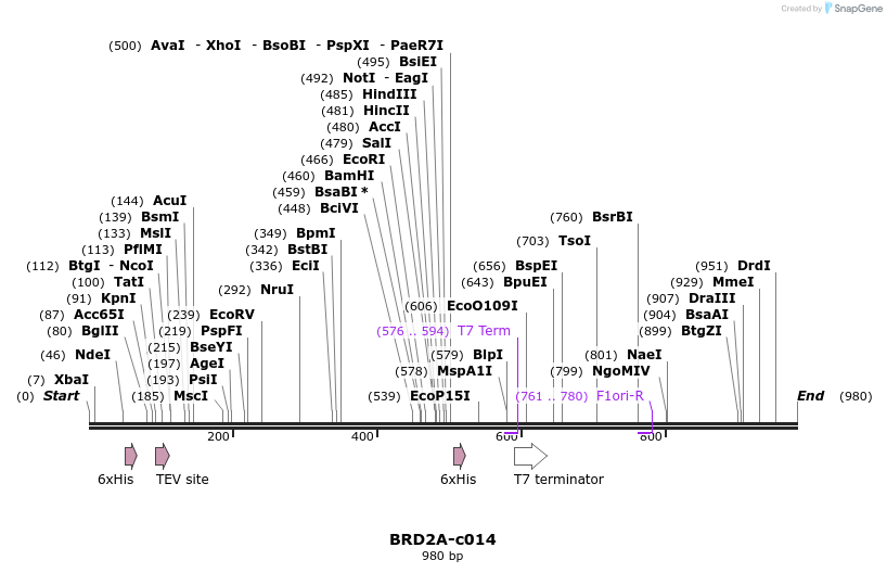 86594_map