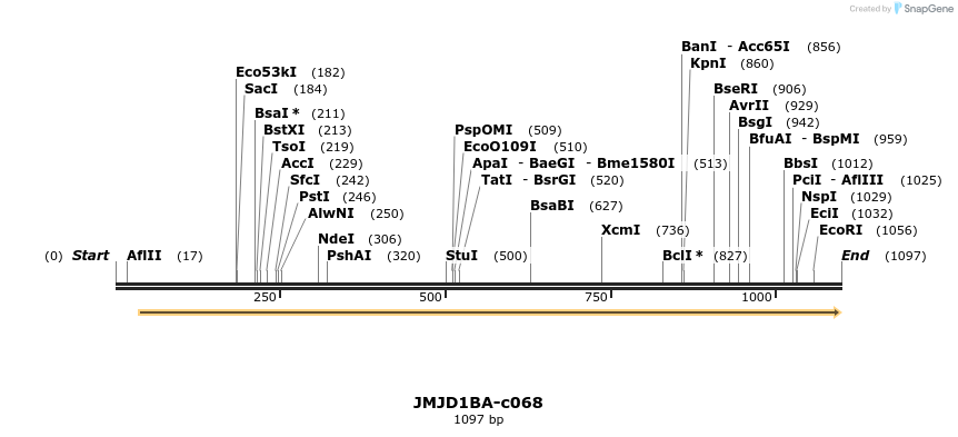 86595_map
