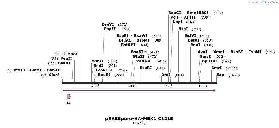 86597_map