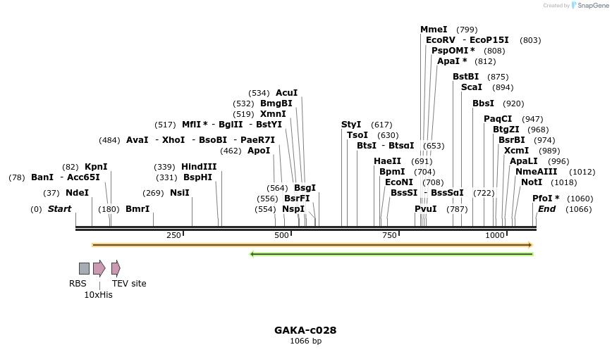 86599_map