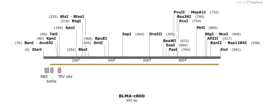 86602_map