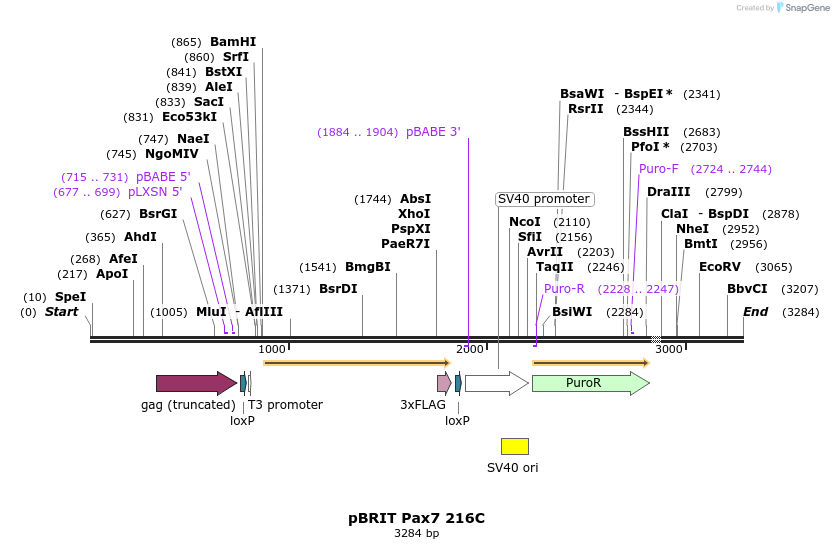 8661_map