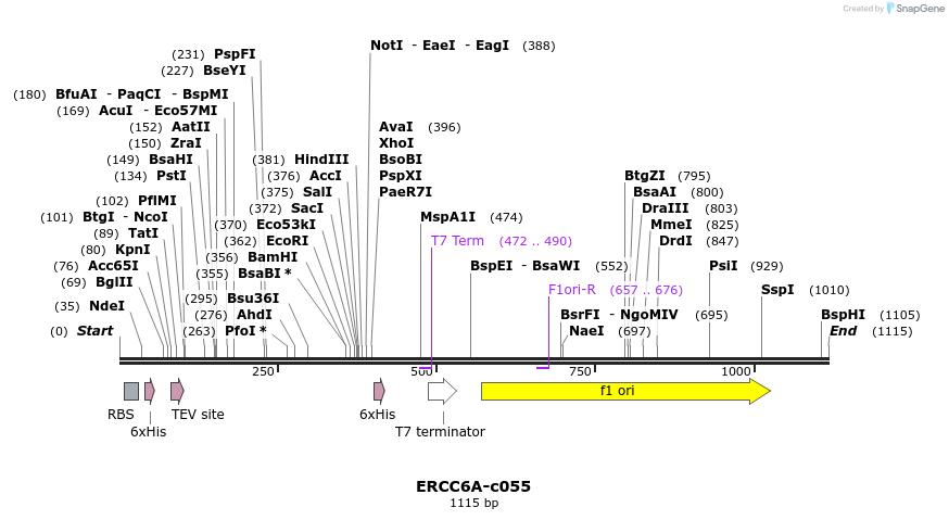 86613_map