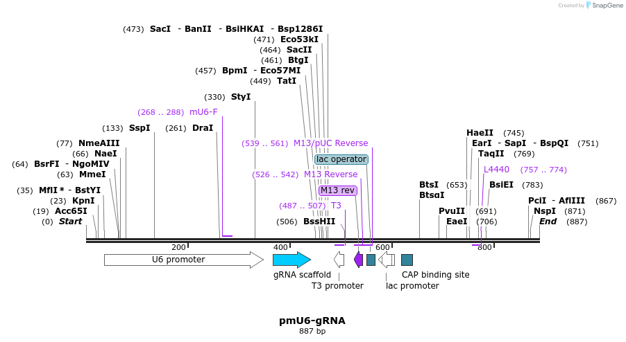 86614_map