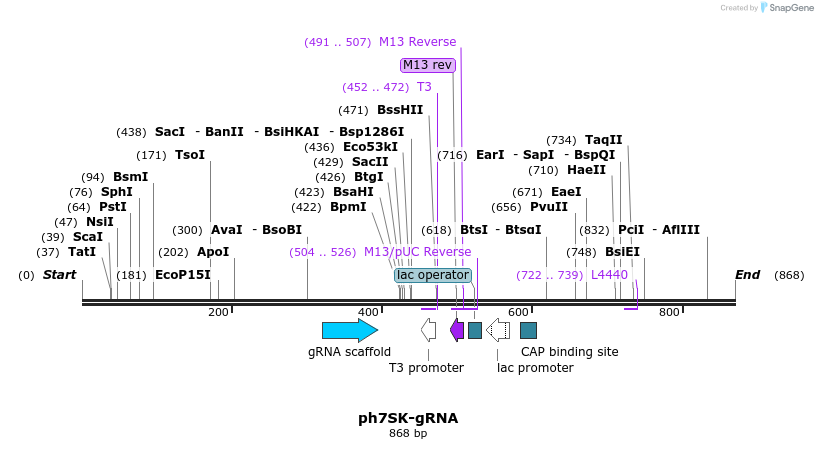 86619_map