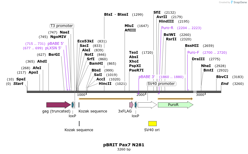 8662_map