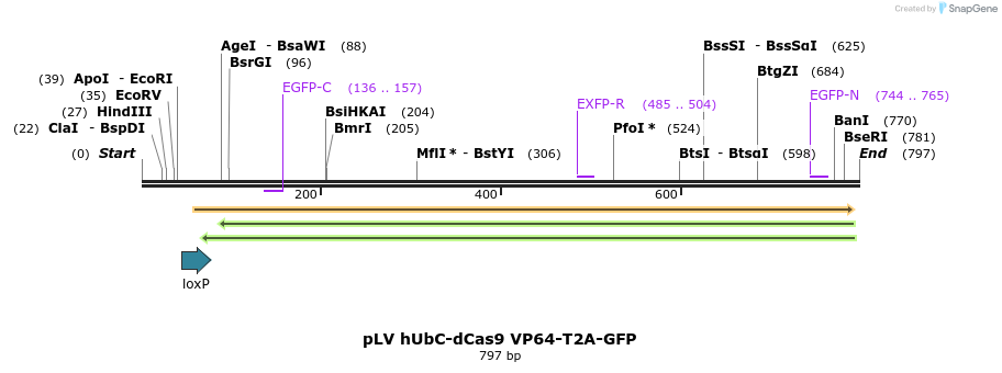 86627_map
