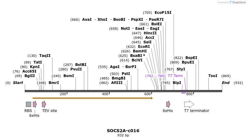 86628_map