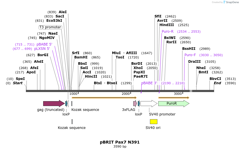 8663_map