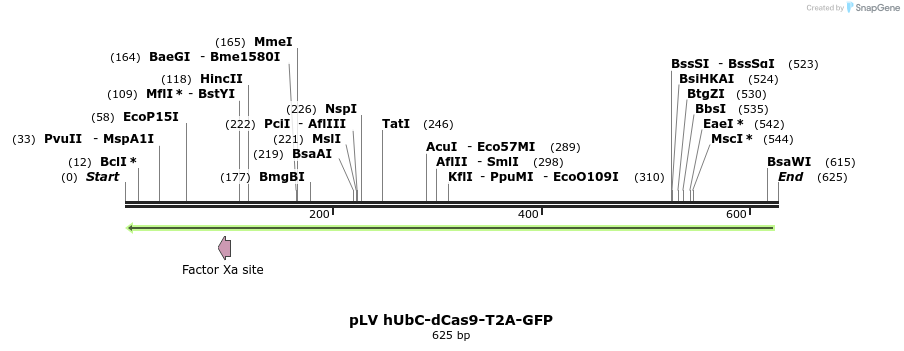 86631_map