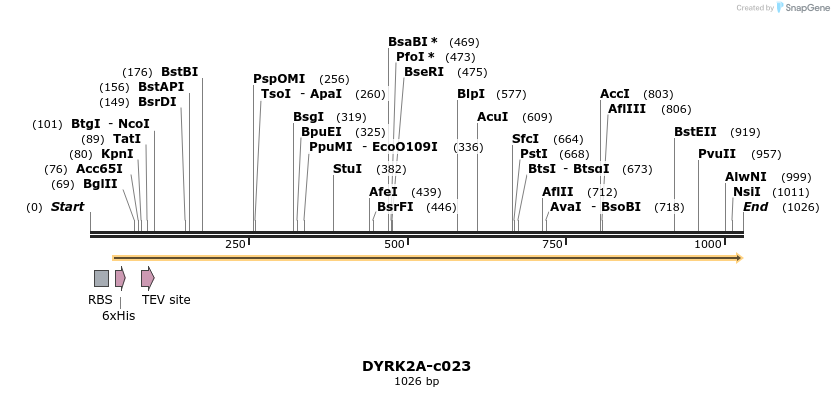 86635_map