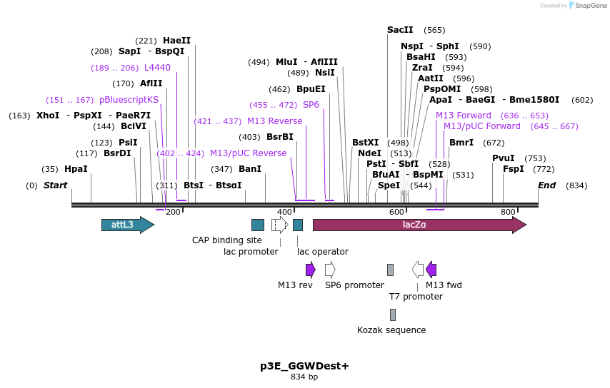 86636_map