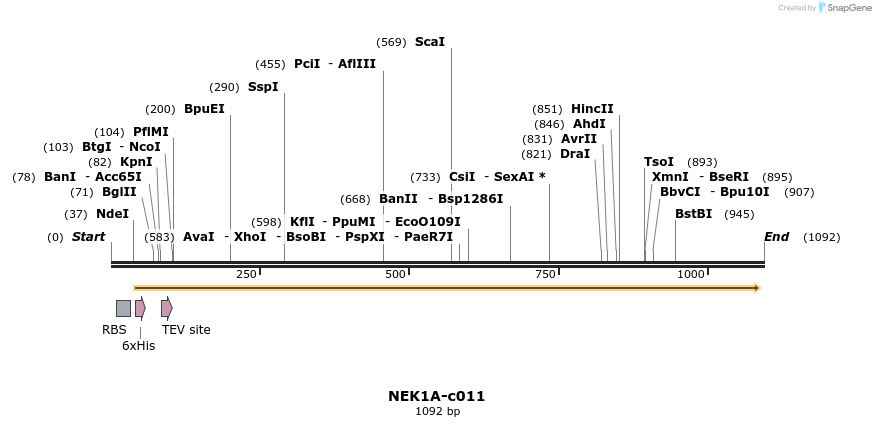 86640_map