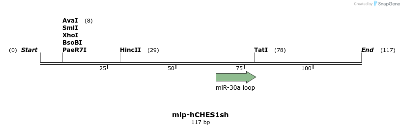 86646_map