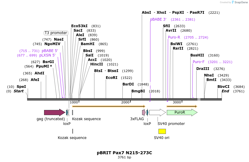 8665_map
