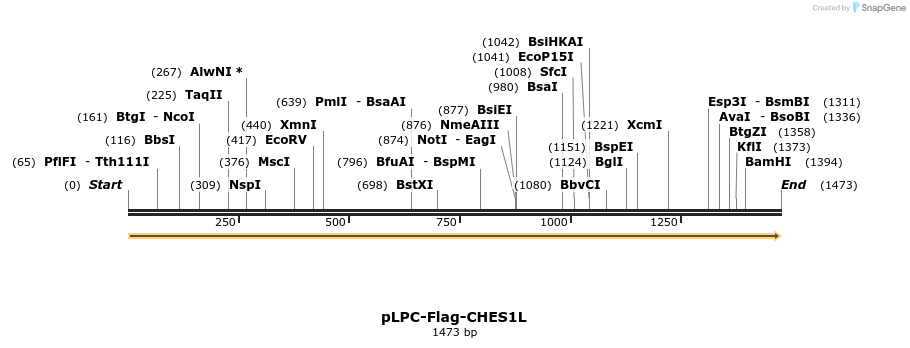 86651_map