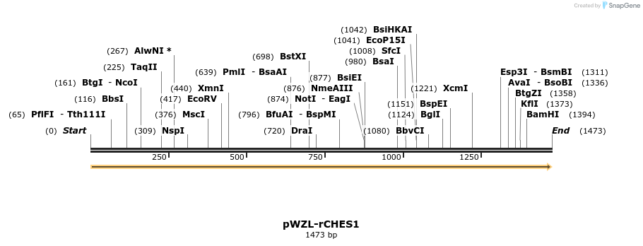 86656_map