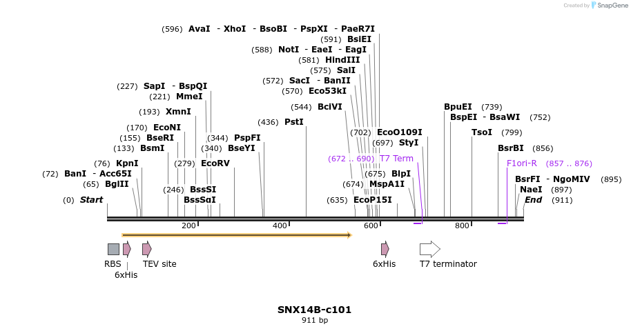 86658_map