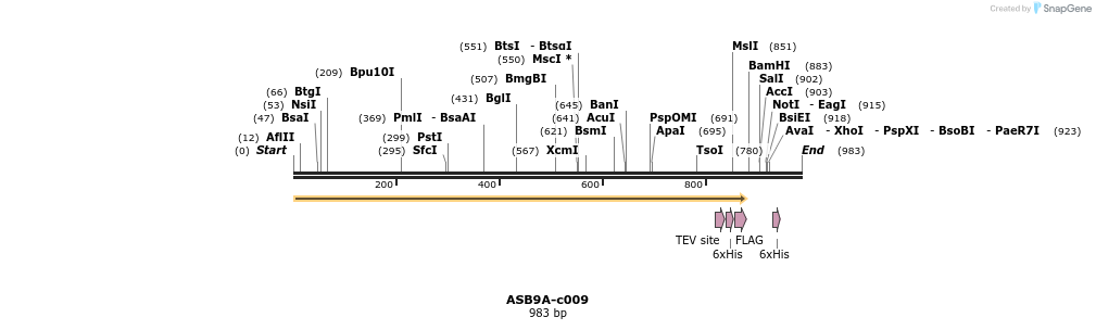 86661_map